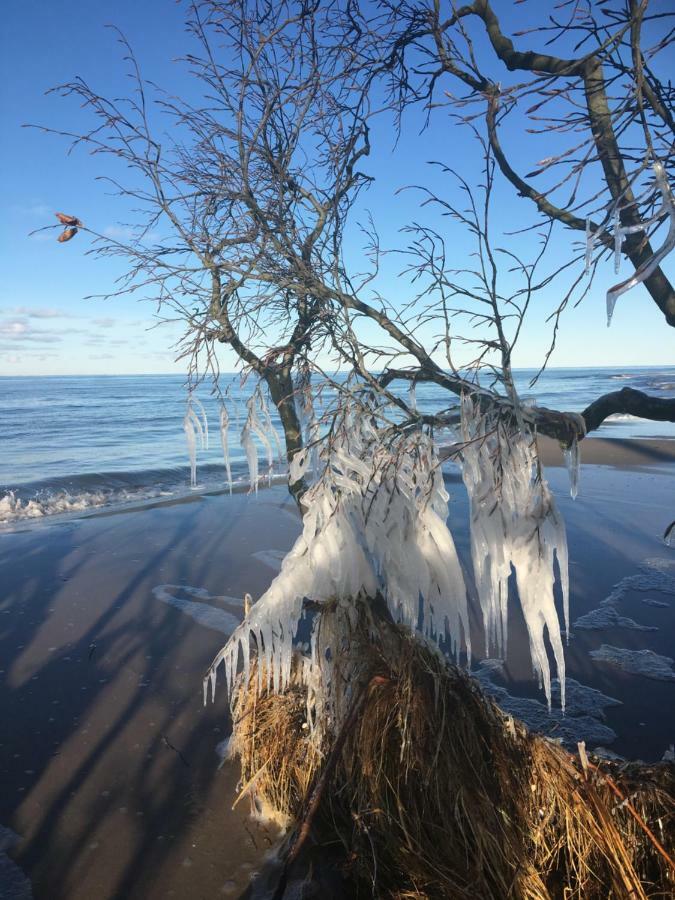 Fewo Bernsteinglueck Prerow Bagian luar foto